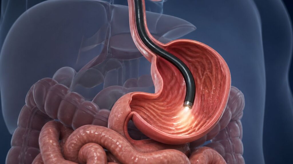 Endoscopy Def Endoscopy Systems for 2026: High-definition Imaging Compared