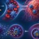 Targeted Drug Delivery
